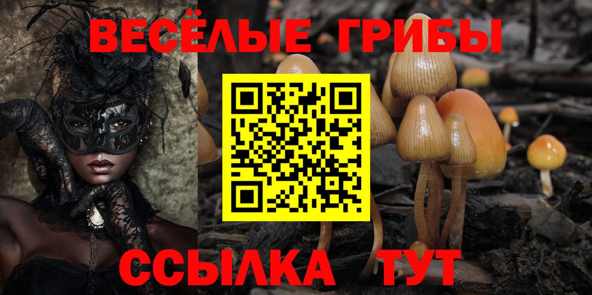 Галлюциногенные грибы Psilocybine cubensis  Вход с VPN  Галлюциногенные грибы Cubensis  Коммунар 